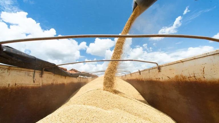 China compra soja da Argentina para aproveitar pausa temporária nas taxas de exportação